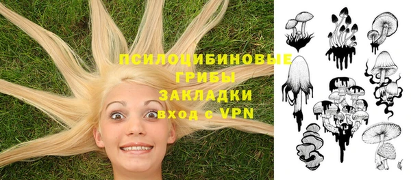 первитин Киреевск