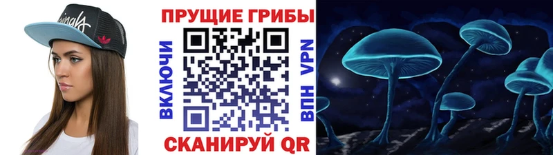 Купить закладки  Новомичуринск  Псилоцибиновые грибы Psilocybine cubensis 